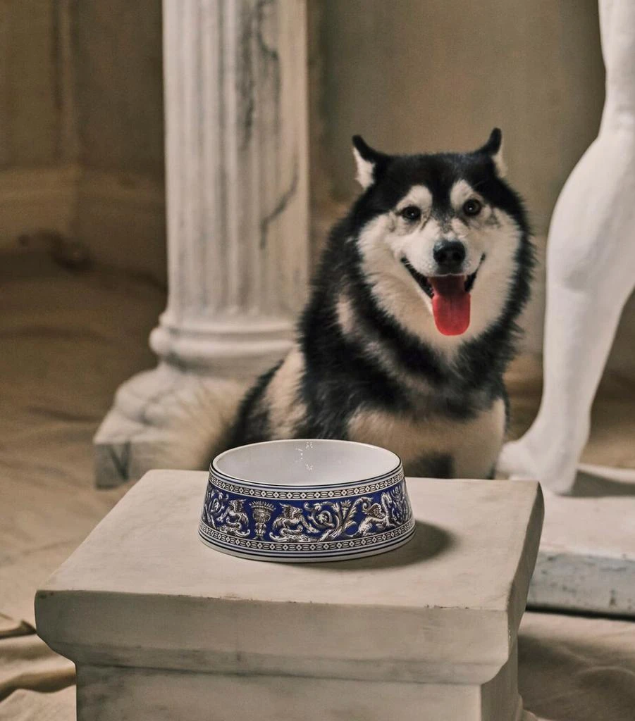 商品Wedgwood|Bone China Florentine Pet Bowl (21cm),价格¥1524,第2张图片详细描述