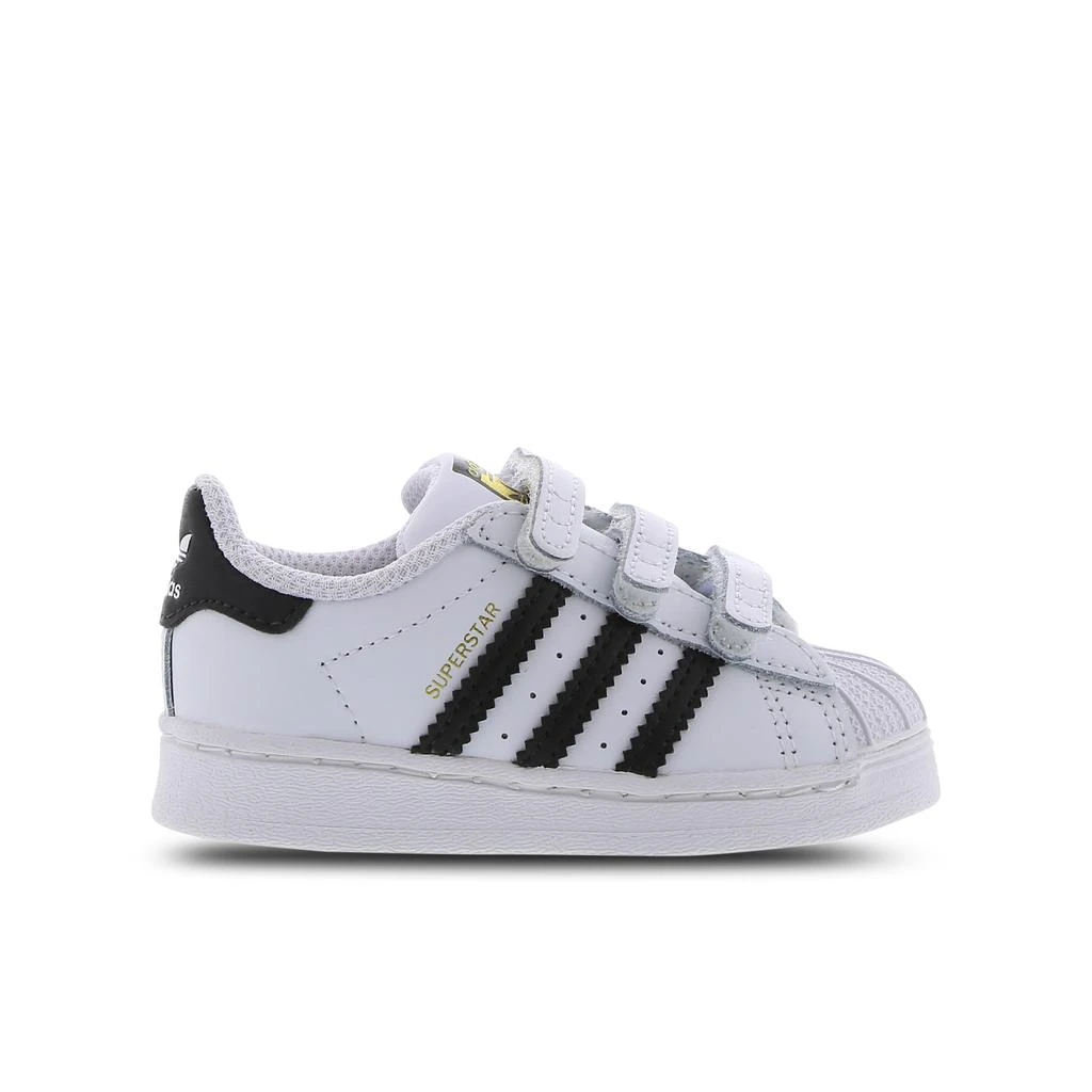 商品Adidas|adidas Superstar - Baby Shoes,价格¥458,第1张图片