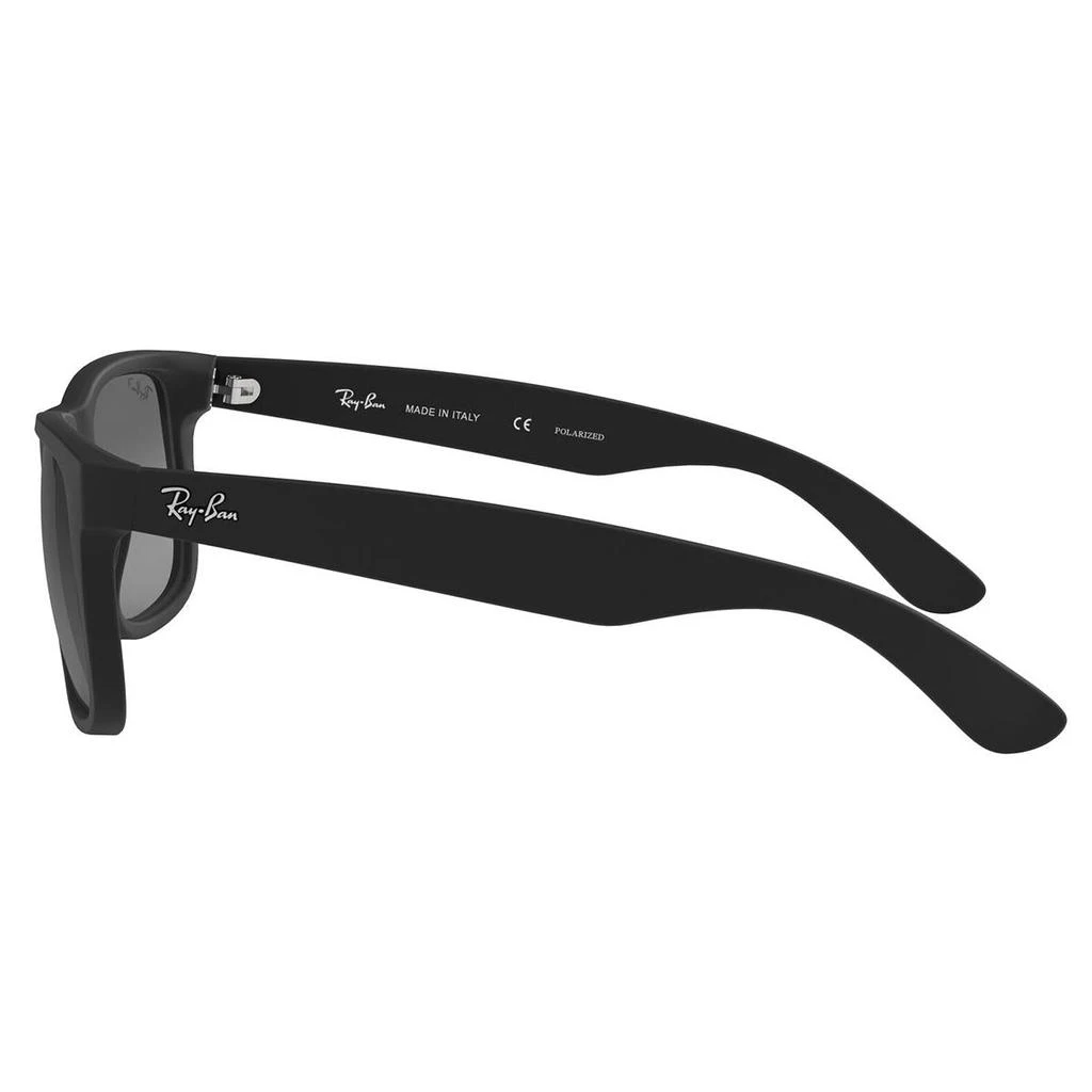 商品Ray-Ban|RAY-BAN Sunglasses,价��格¥1355,第3张图片详细描述