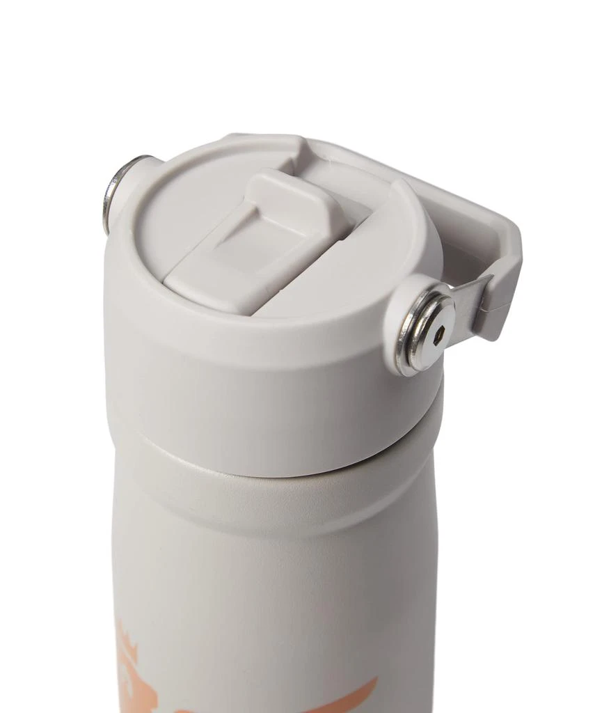 商品Stanley|17 oz/.5 L The IceFlow Flip Straw Water Bottle,价格¥194,第2张图片详细描述