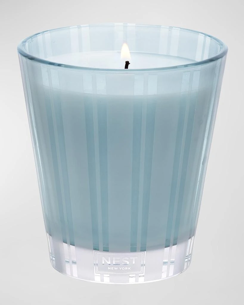 商品NEST New York|8.1 oz. Driftwood & Chamomile Classic Candle,价格¥371,第2张图片详细描述