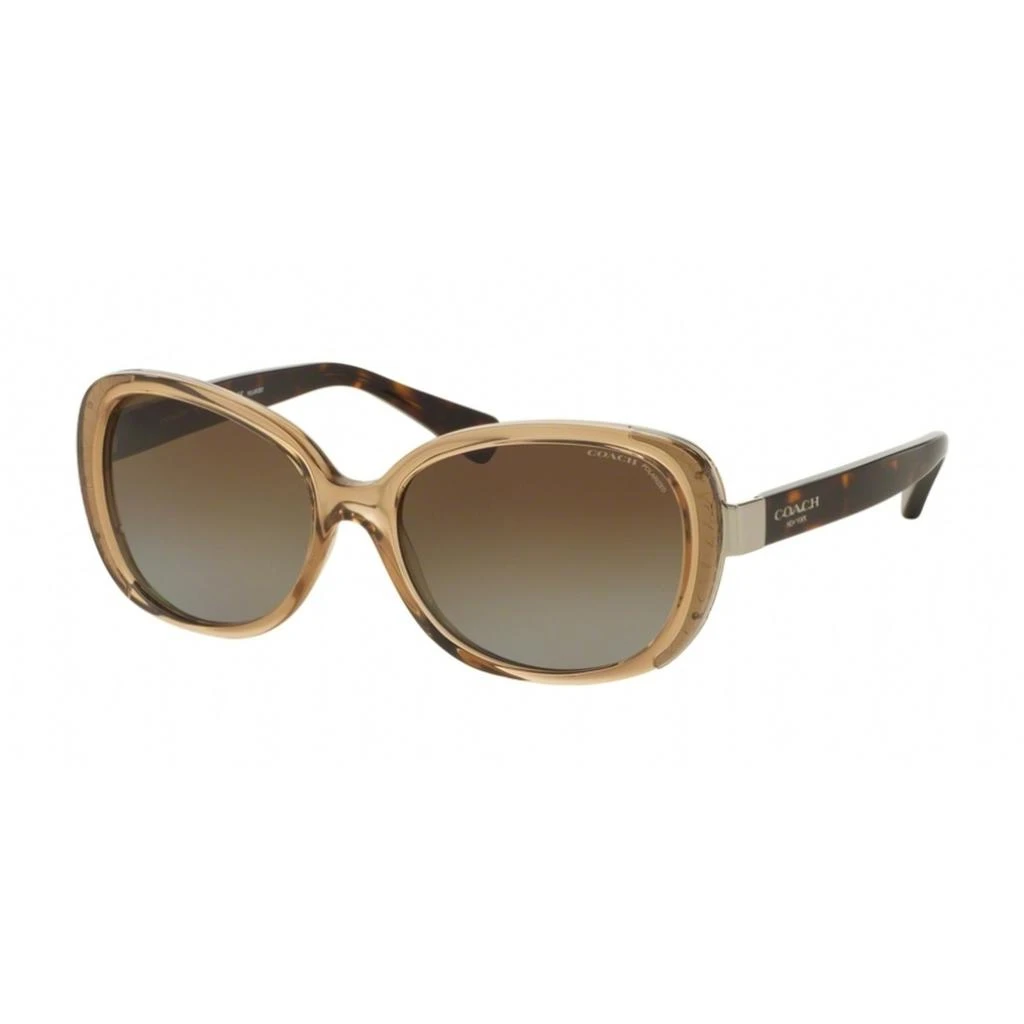 商品Coach|Coach Women's Sunglasses - Full Rim Butterfly Shape Plastic Frame | 0HC8172 5369T556,价格¥558,第1张图片