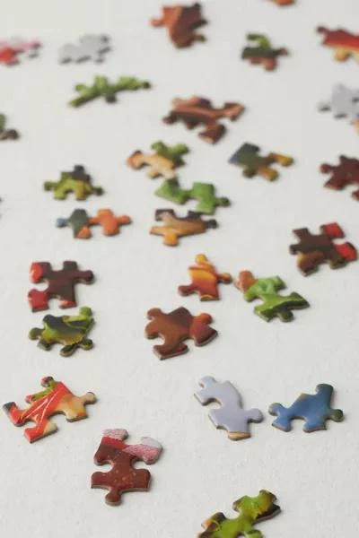 商品Le Puzz|Le Puzz Jigsaw Puzzle,价格¥156,第2张图片详细描述