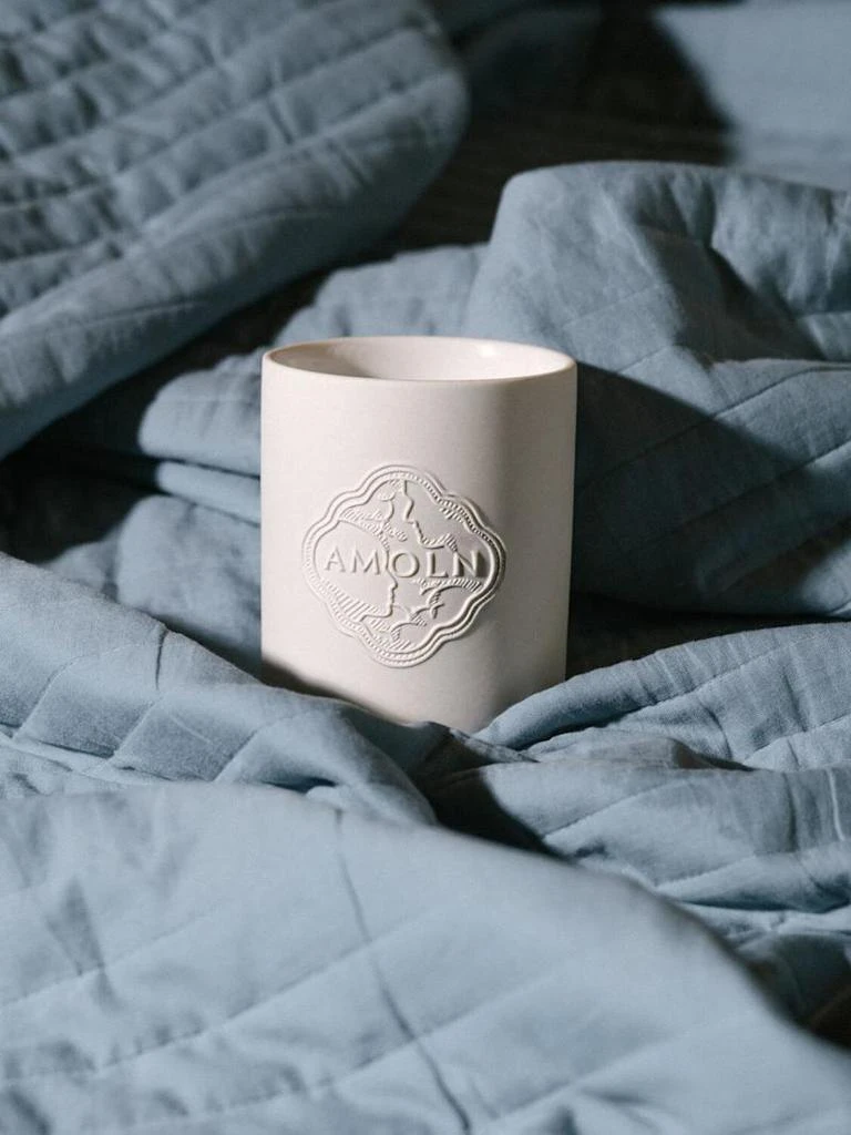 商品Amoln|320克Old Tjikko candle香氛蜡烛,价格¥889,第2张图片详细描述