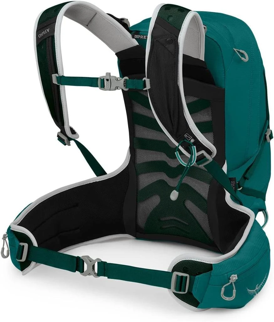 Osprey Tempest 20L Women's Hiking Backpack with Hipbelt, Jasper Green, WXS/S 商品