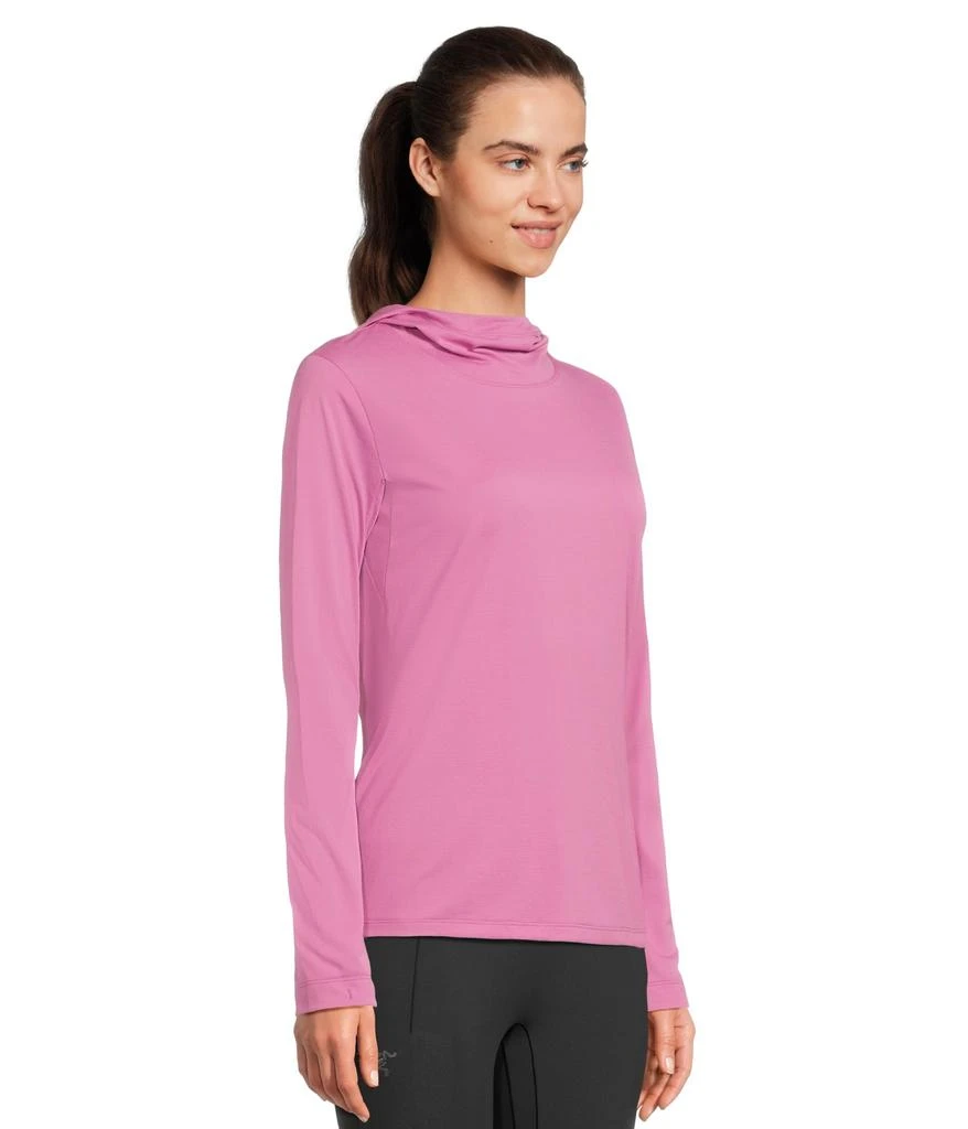 商品Arc'teryx|Taema Hoodie,价格¥754,第2张图片详细描述