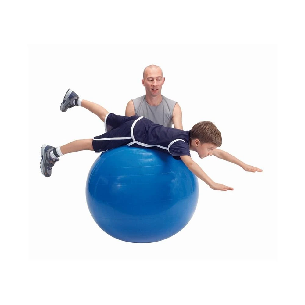 商品Gymnic|Physio Exercise Ball 95,价格¥632,第3张图片详细描述