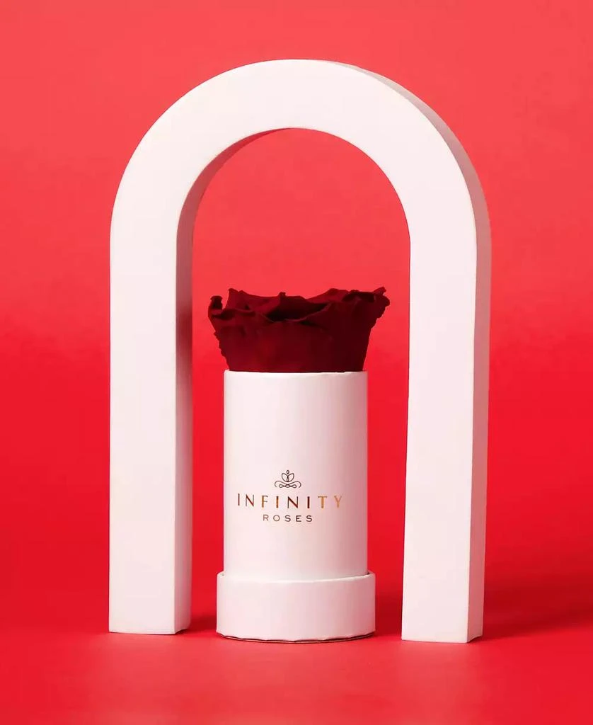 商品Infinity Roses|Single Red Real Rose Preserved To Last Over A Year,价格¥299,第3张图片详细描述