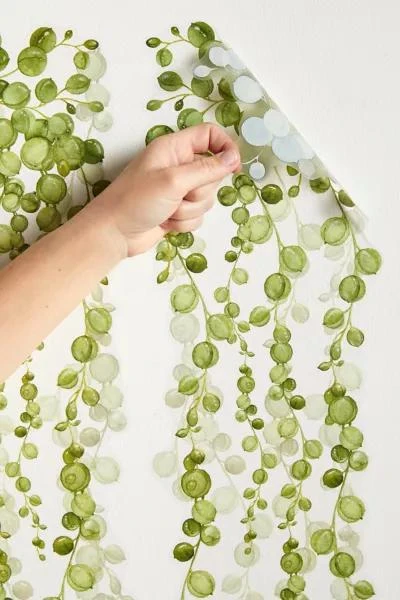 商品RoomMates|RoomMates String Of Pearls Vine Peel And Stick Wall Decal Set,价格¥217,第3张图片详细描述