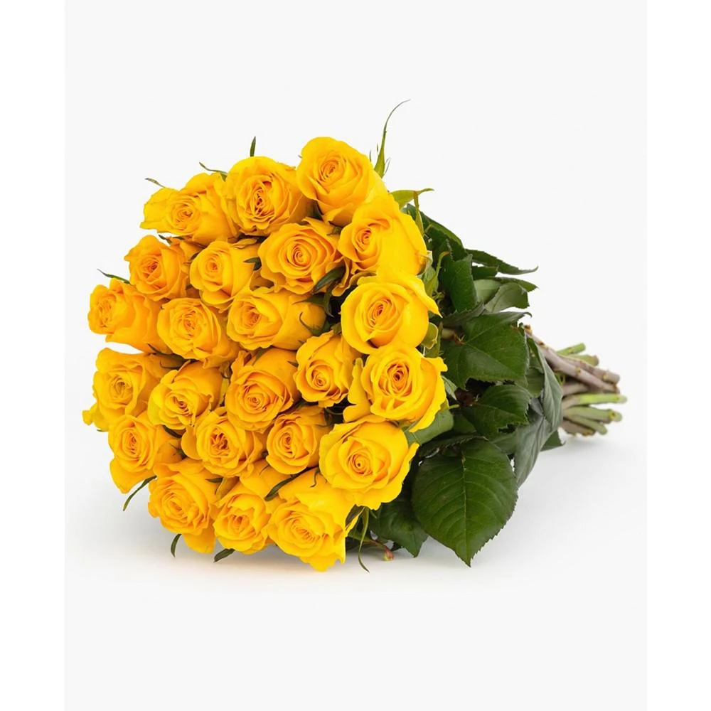 商品BloomsyBox|Two Dozen Yellow Roses Fresh Flower Bouquet,价格¥486,第3张图片详细描述