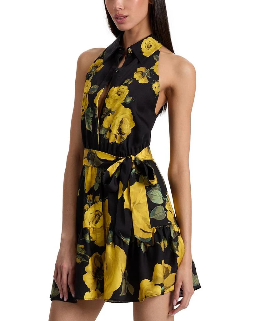 Miranda Dress 商品