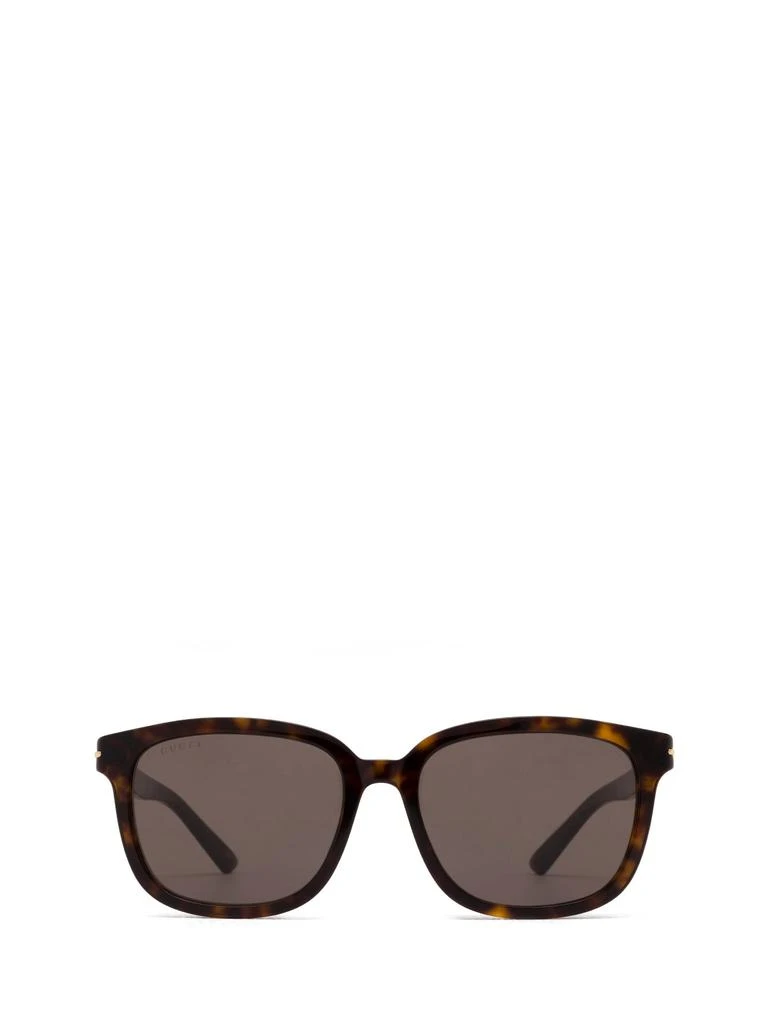 商品Gucci|Gg1505sk Havana Sunglasses,价格¥3688,第1张图片