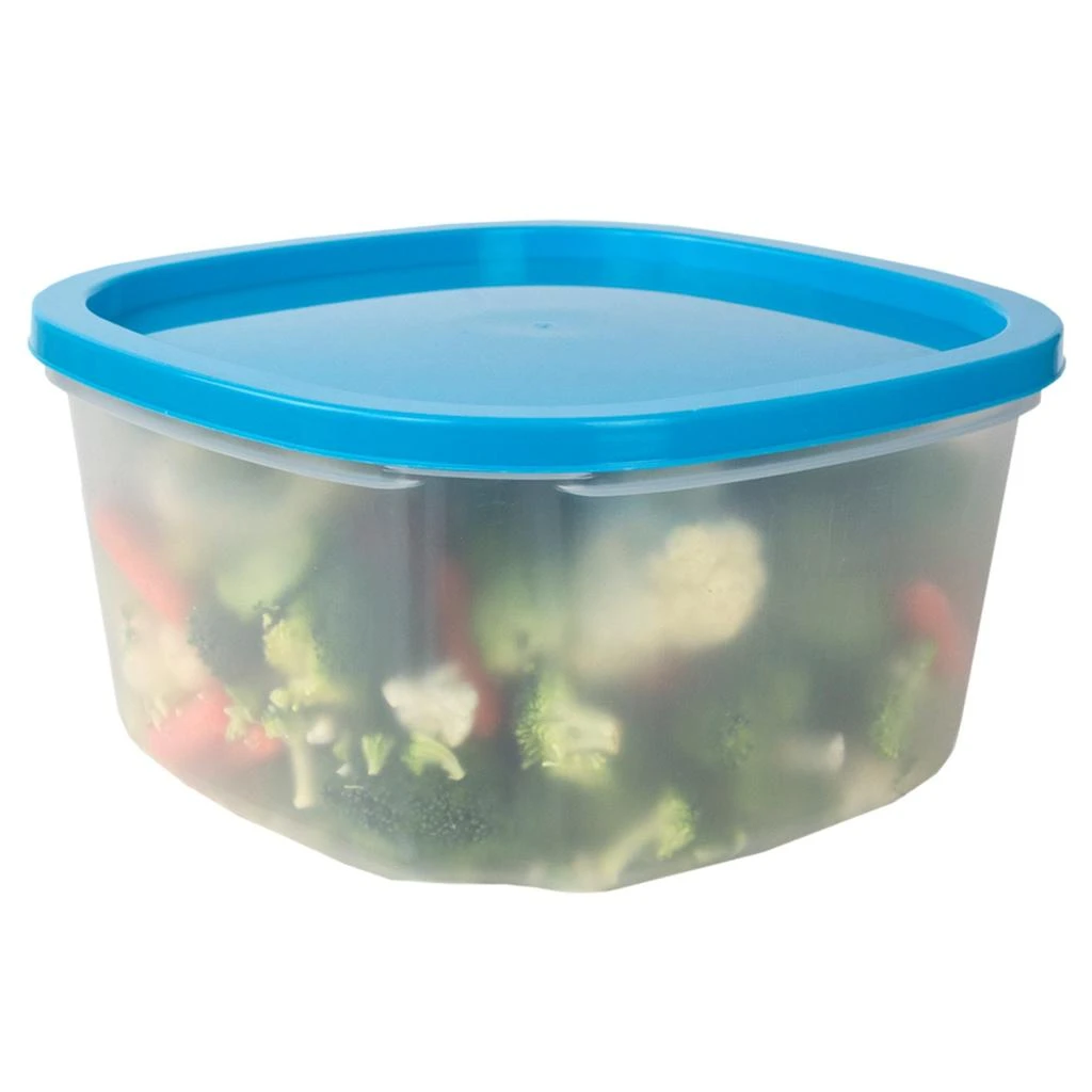 Home Basics 7 Piece Plastic Food Storage Container Set with Multi-Colored Lids 商品