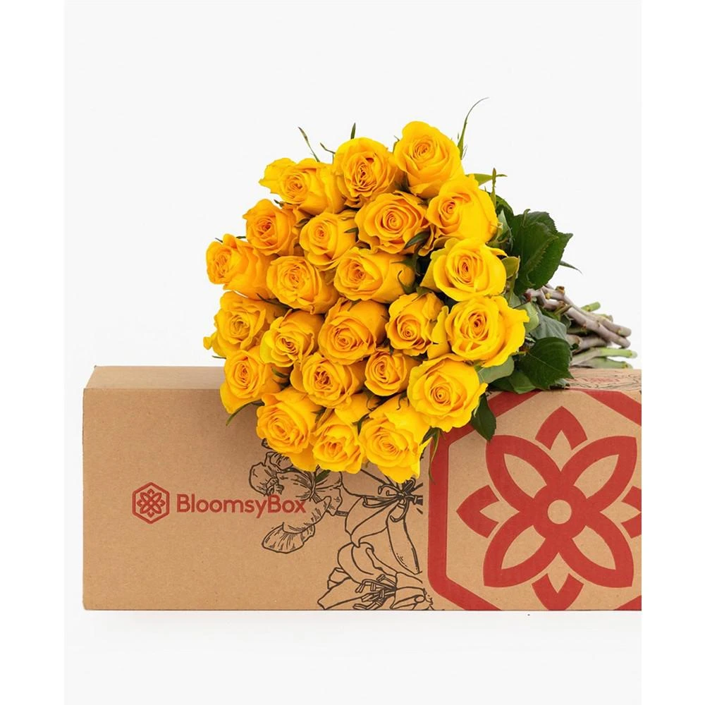 商品BloomsyBox|Two Dozen Yellow Roses Fresh Flower Bouquet,价格¥486,第2张图片详细描述