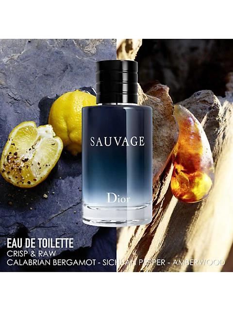 Dior Sauvage Parfum商品第2张图片规格展示