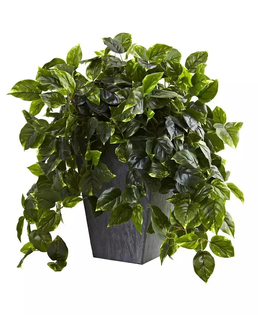 商品NEARLY NATURAL|Hanging Pothos w/ Slate Planter UV Resistant,价格¥1078,第1张图片