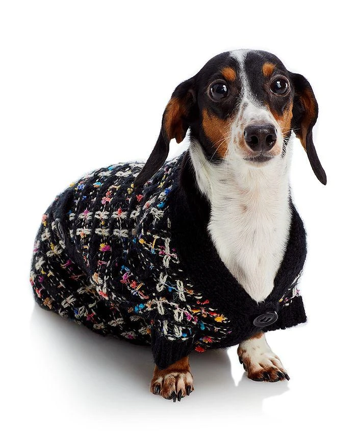 商品Aqua Pet|Dog Sweater,价格¥217,第4张图片详细描述