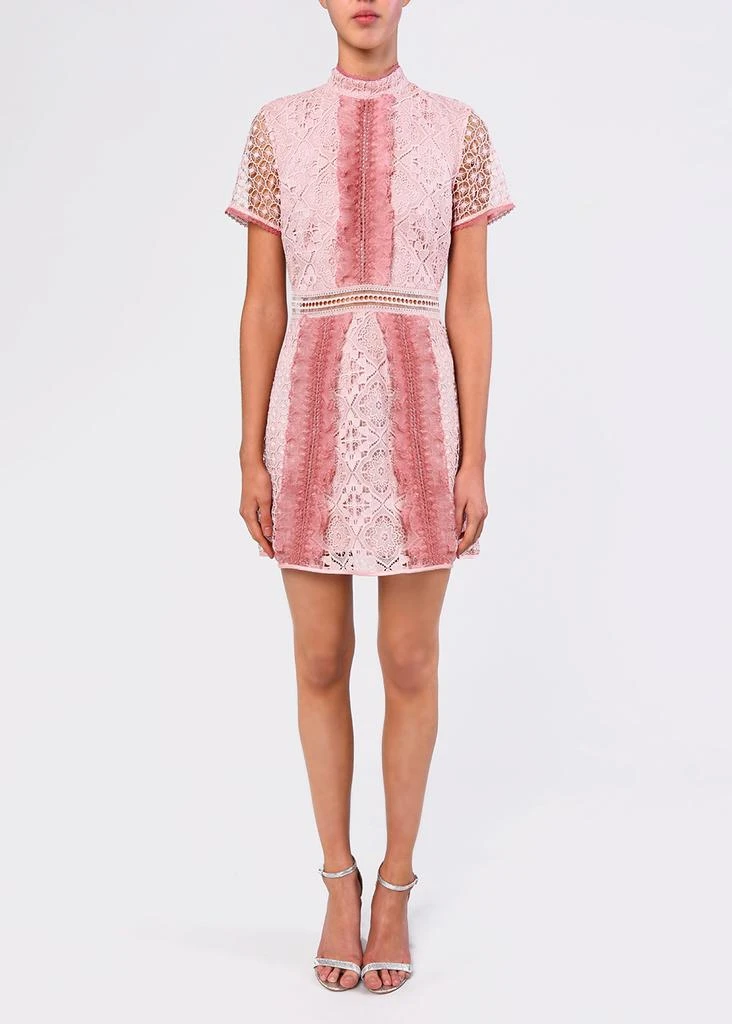 商品True Decadence|True decadence blush pink two tone lace mine dress,价格¥729,第4张图片详细描述