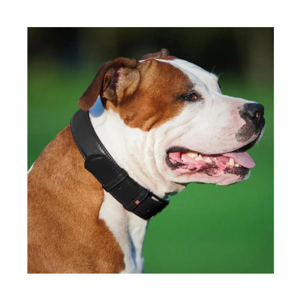 商品Waudog|Glamour genuine leather dog collar with QR passport,价格¥142,第2张图片详细描述