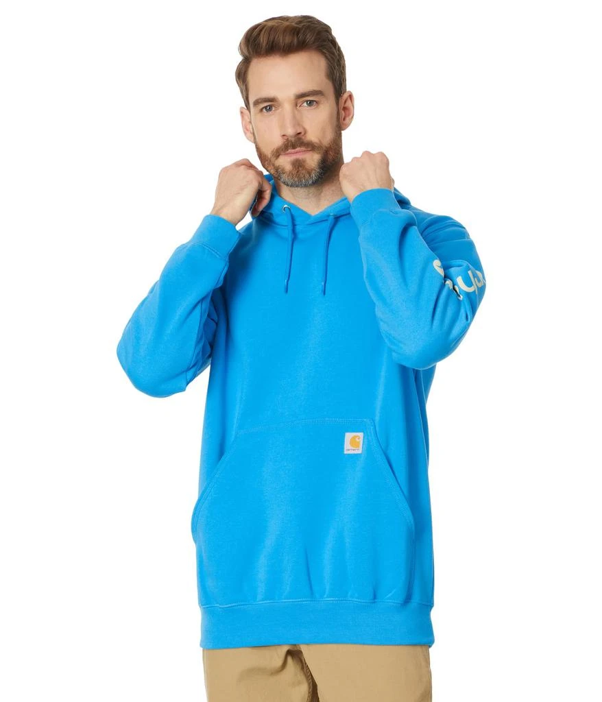 商品Carhartt|Midweight Signature Sleeve Logo Hooded Sweatshirt,价格¥325,第1张图片