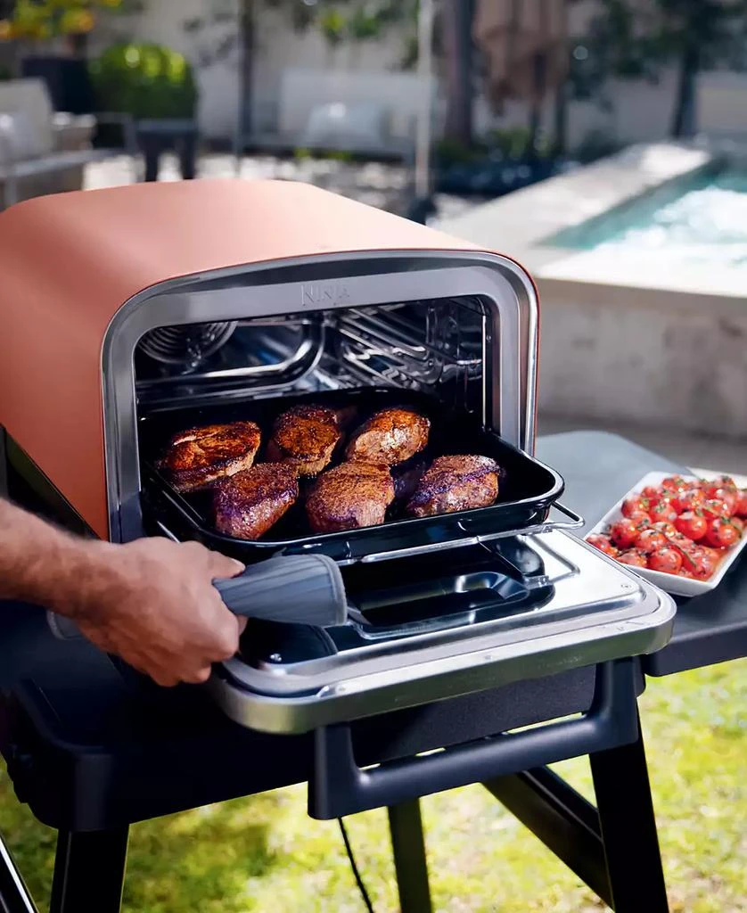 Woodfire Pizza Oven, 8-in-1 Outdoor Oven, 5 Pizza Settings, Up to 700 Fahrenheit High Heat, BBQ (Barbecue) Smoker - OO101 商品