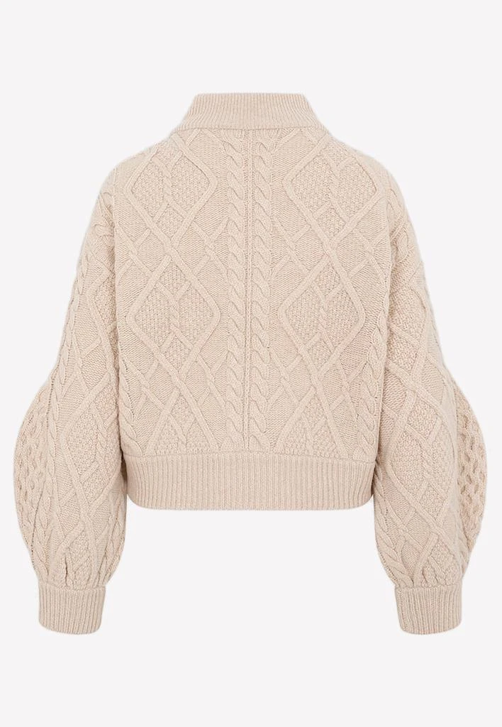 商品Stella McCartney|Aran Cable Zipped Sweater in Virgin Wool,价格¥4379,第2张图片详细描述