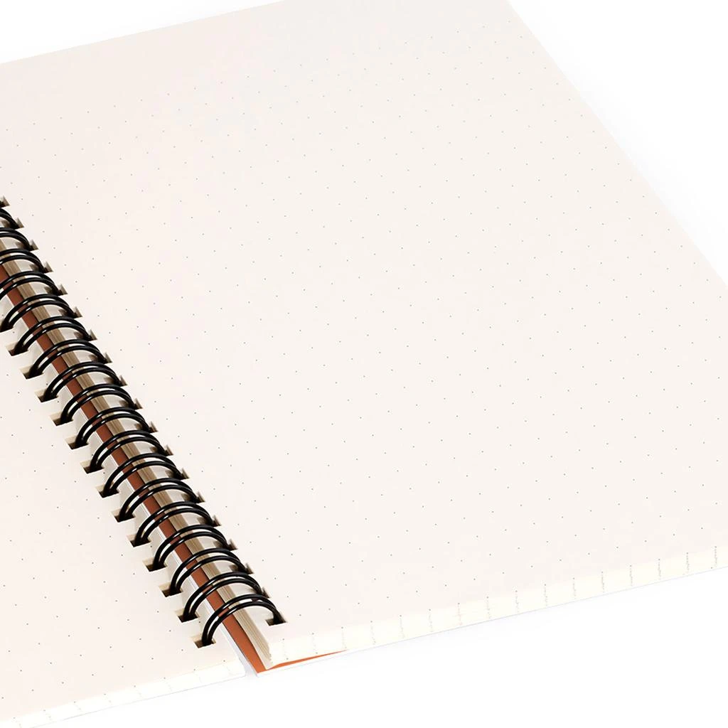商品DENY Designs|June Journal Awesome Day Notebook Spiral,价格¥169,第3张图片详细描述