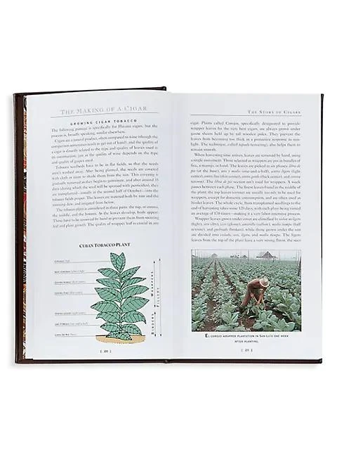 商品Graphic Image|''The Cigar Companion'' Leather-Bound Book,价格¥786,第4张图片详细描述