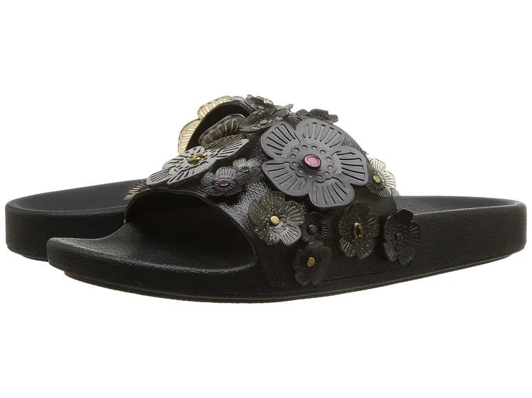 商品Coach|Sophi Slide with Tea Rose,价格¥585,第1张图片