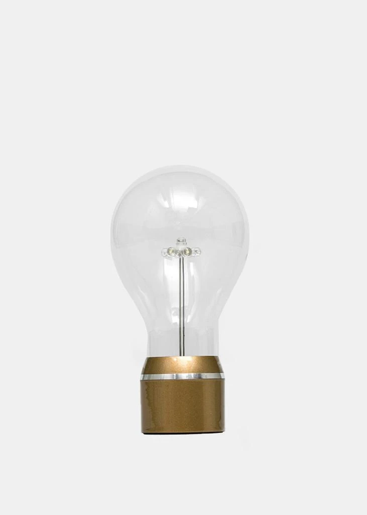 商品FLYTE|Flyte Gold Flyte Edison Single Bulb,价格¥567,第1张图片