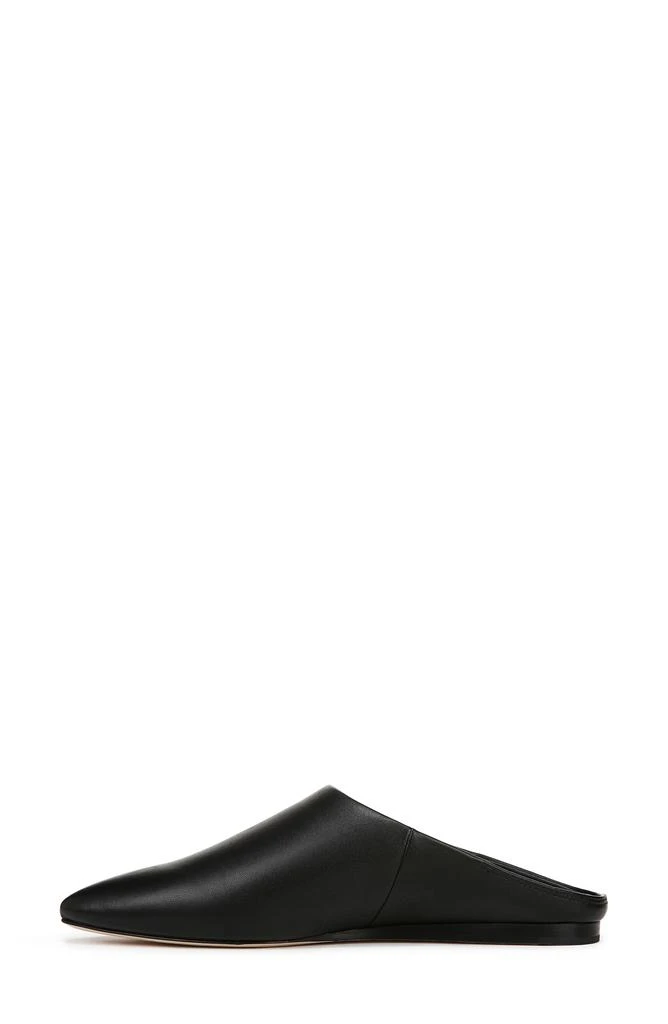 Cayslip Pointed Toe Mule 商品