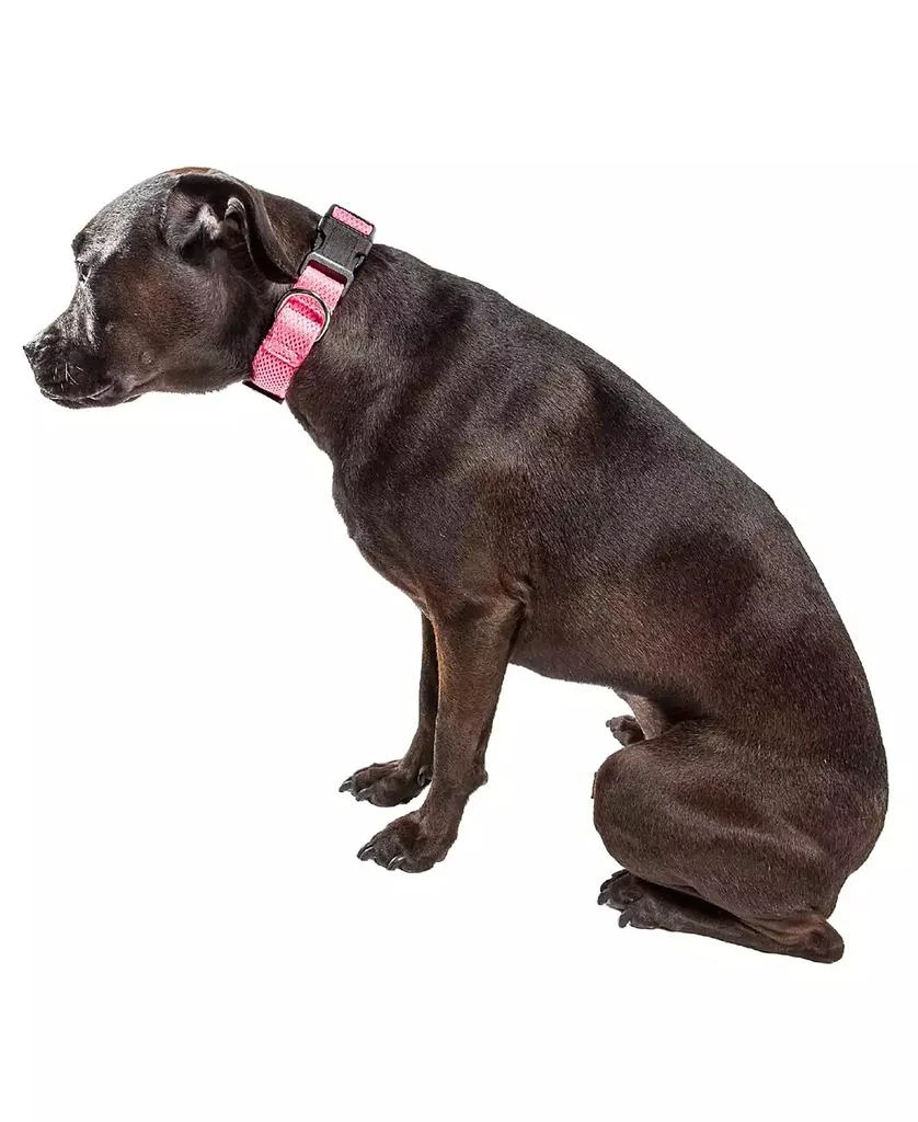 'Aero Mesh' 360 Degree Breathable Adjustable Mesh Dog Collar 商品