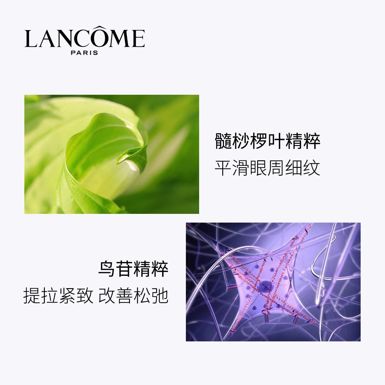 商品Lancôme|欧洲直邮Lancome 兰蔻 雪花霜塑颜紧致焕白眼霜 15毫升 舒缓保湿,价格¥762,第2张图片详细描述
