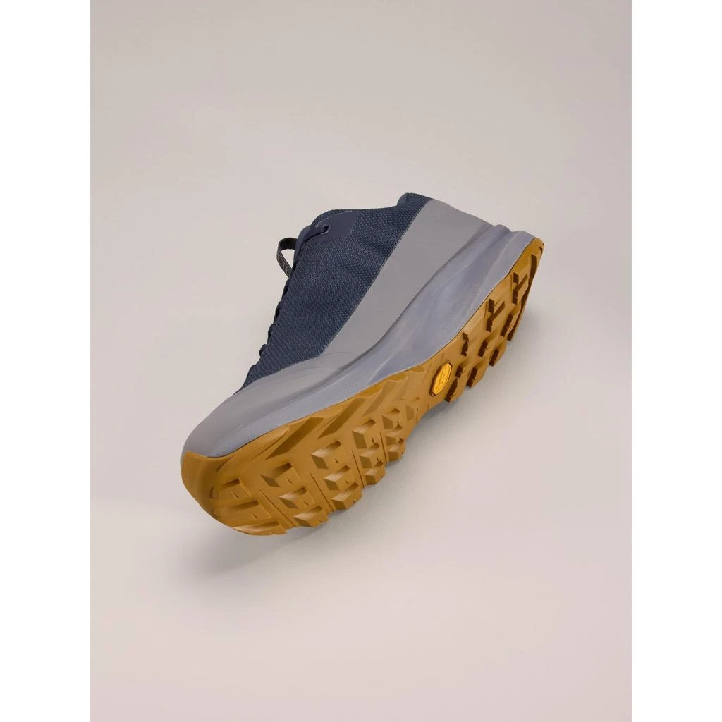 Arc'teryx Aerios FL 2 GTX Shoe Men's | Fast and Light Gore-Tex Hiking Shoe 商��品