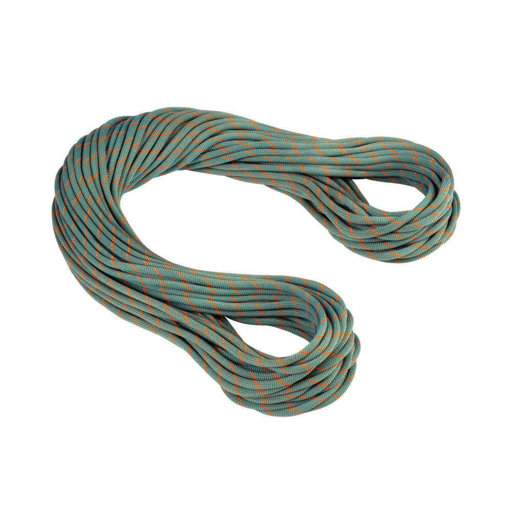 商品Mammut|MAMMUT - 9.9 CRAG WORKHORSE DRY - 60 M - Standard Boa-Ocean,价格¥1533,第1张图片