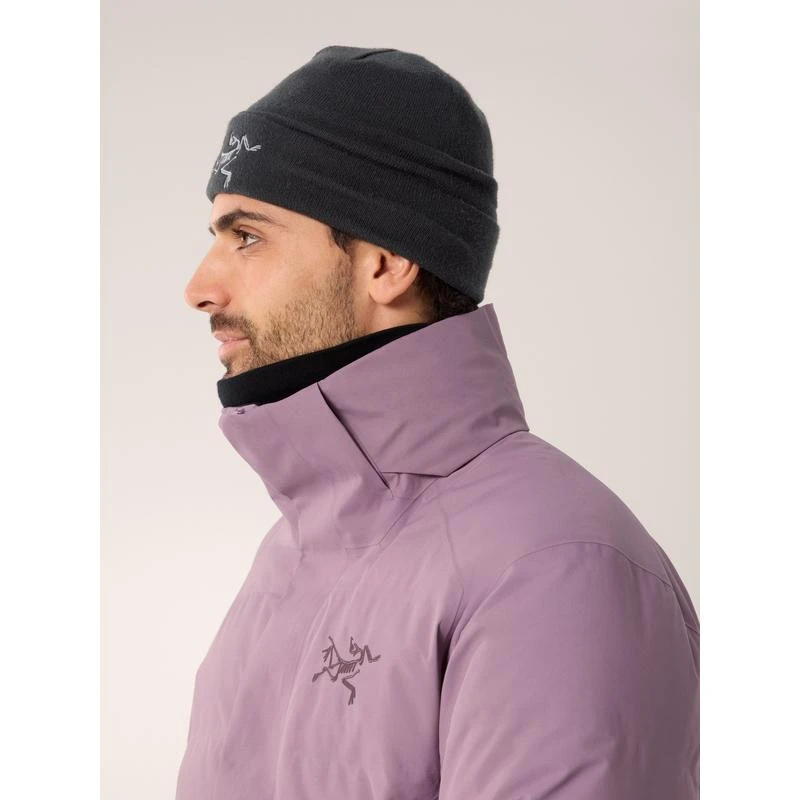 商品Arc'teryx|Arcteryx始祖鸟Fissile SV系列男士星际紫GORE‑TEX防风羽绒夹克,价格¥8162 描述