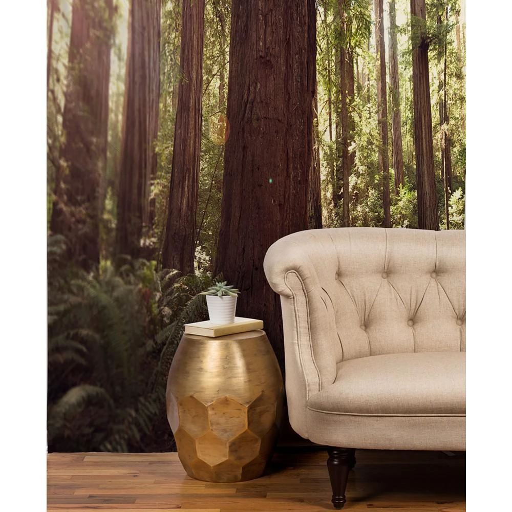 商品DENY Designs|Bree Madden Redwoods Tapestry,价格¥538,第2张图片详细描述