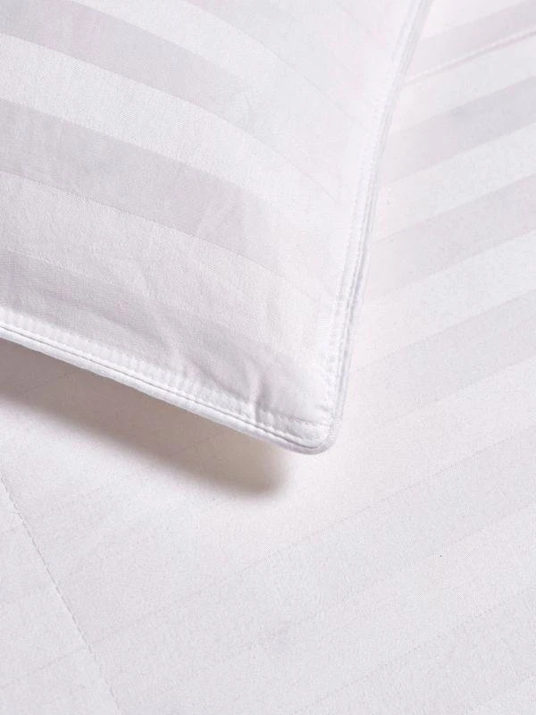 商品Blue Ridge Home Fashions|350 Thread Count Down Comforter,价格¥1086,第3张图片详细描述