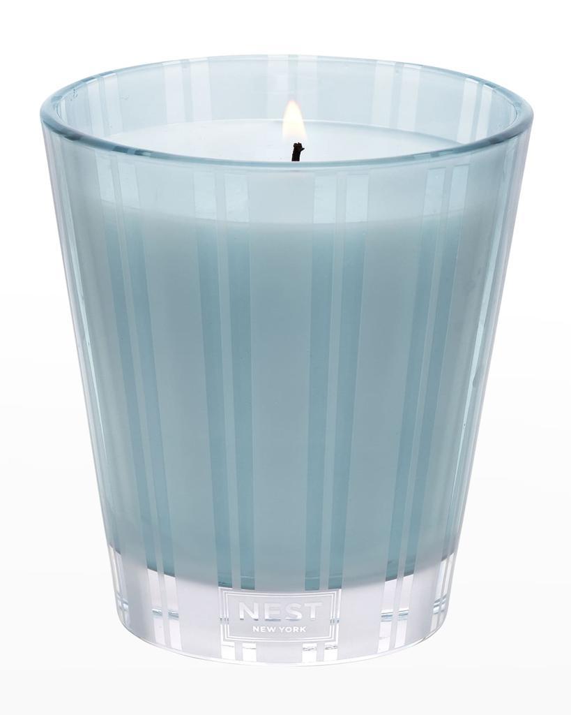 商品NEST New York|8.1 oz. Driftwood & Chamomile Classic Candle,价格¥334,第4张图片详细描述