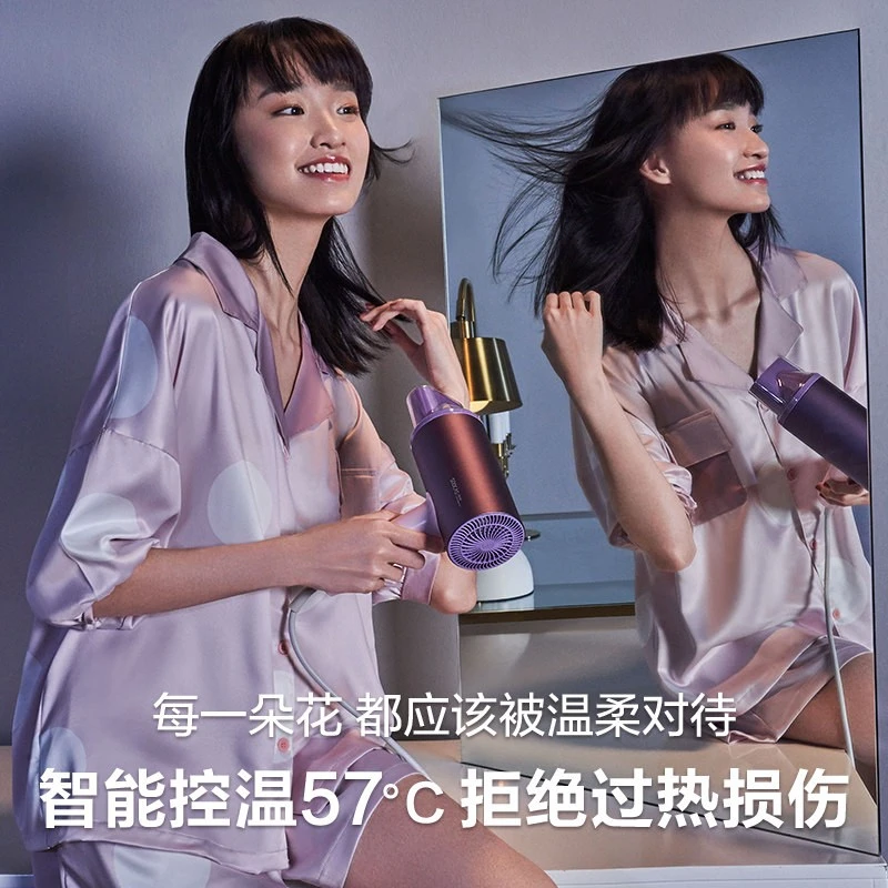 素士负离子速干电吹风 H5 标准版 商品