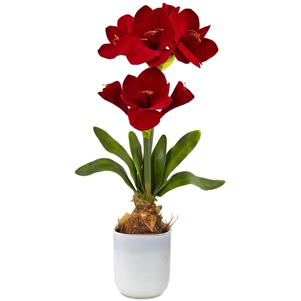 商品NEARLY NATURAL|Red Amaryllis Artificial Floral Arrangement,价格¥737,第1张图片