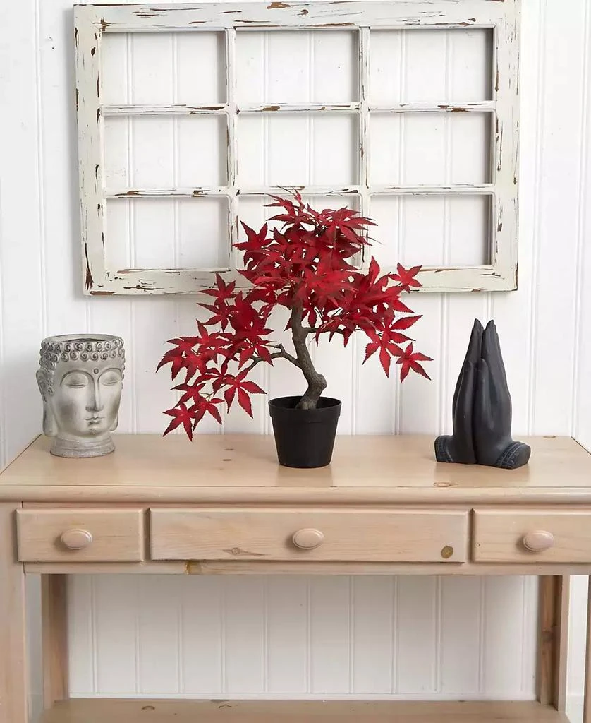 商品NEARLY NATURAL|Autumn Maple Bonsai, 20",价格¥464,第5张图片详细描述