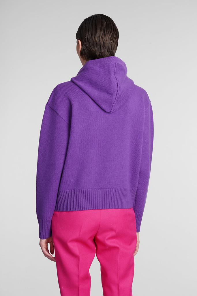 Ami Alexandre Mattiussi Knitwear In Viola Wool商品第3张图片规格展示