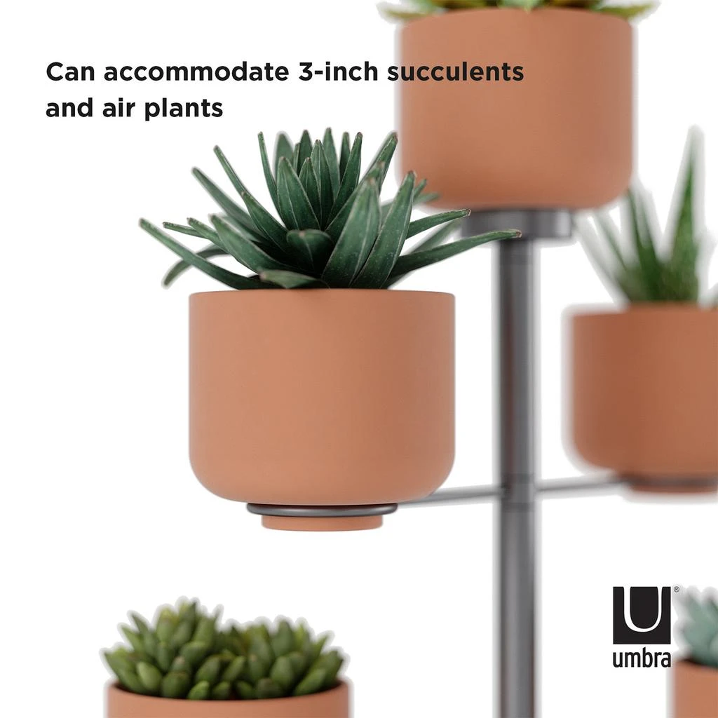 Umbra Terrapotter Planter 商品