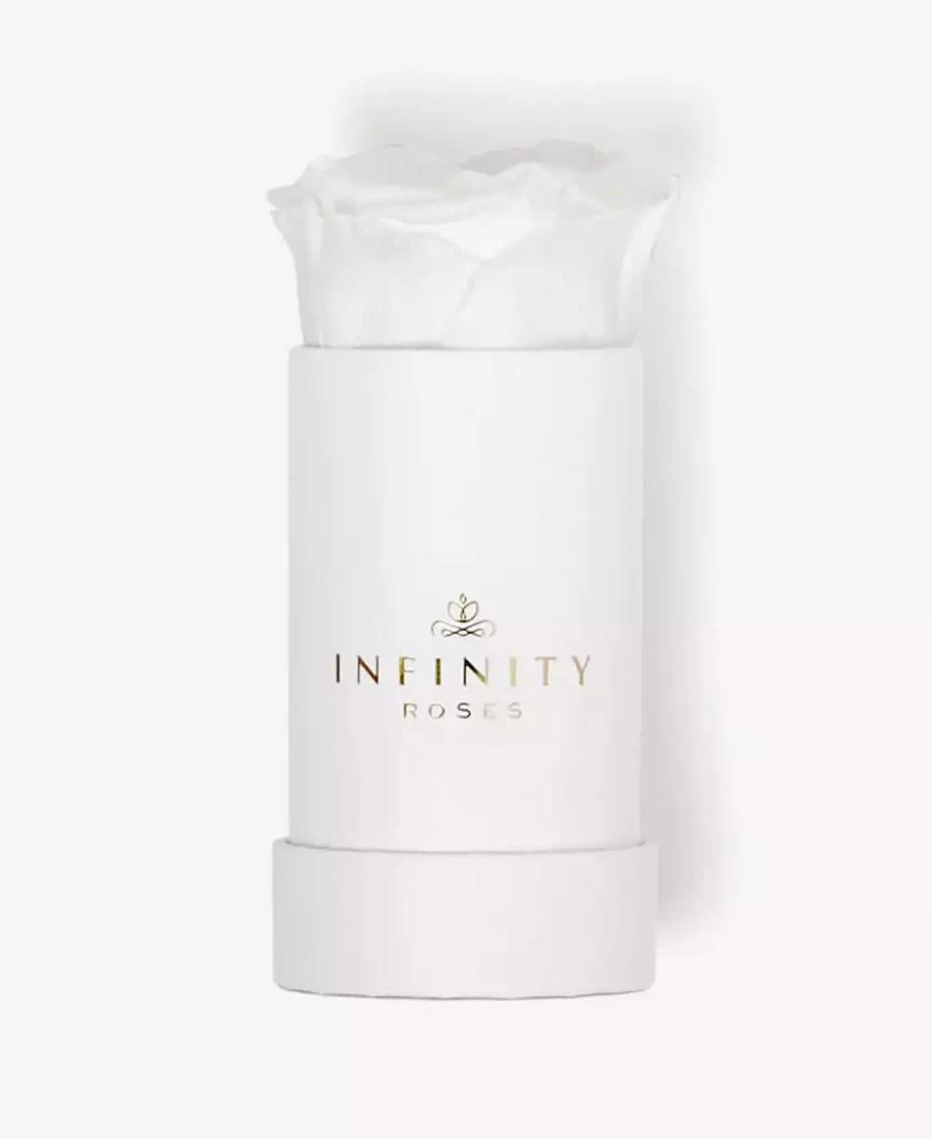 商品Infinity Roses|Single White Real Rose Preserved To Last Over A Year,价格¥309,第3张图片详细描述