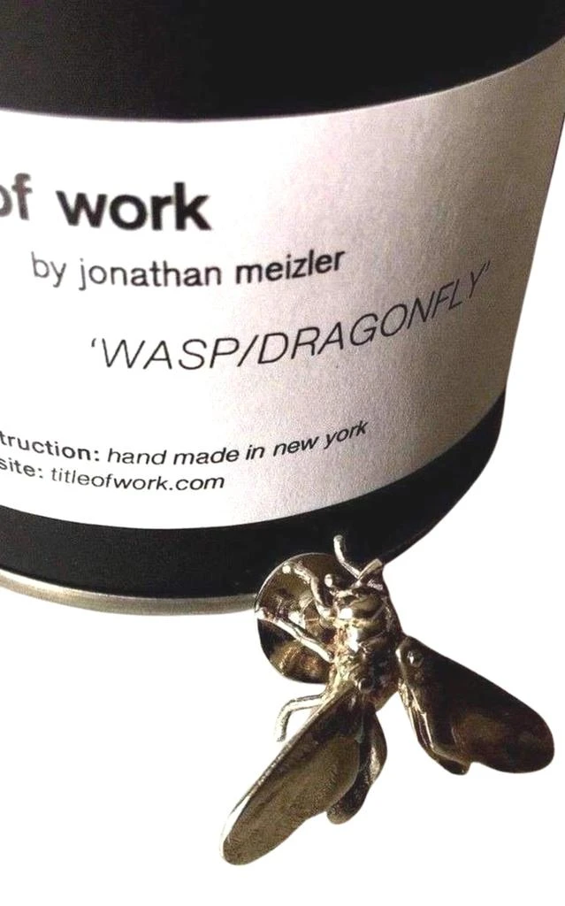商品Title of Work by Jonathan Meizler|Sterling Silver Fly Pin,价格¥1567,第4张图片详细描述
