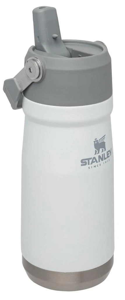 商品Stanley|Stanley IceFlow Stainless Steel Water Jug with Straw, Vacuum Insulated Water Bottle for Home and Office, Reusable Tumbler with Straw Leak Resistant Flip, Polar, 17 OZ,价格¥244,第4张图片详细描述