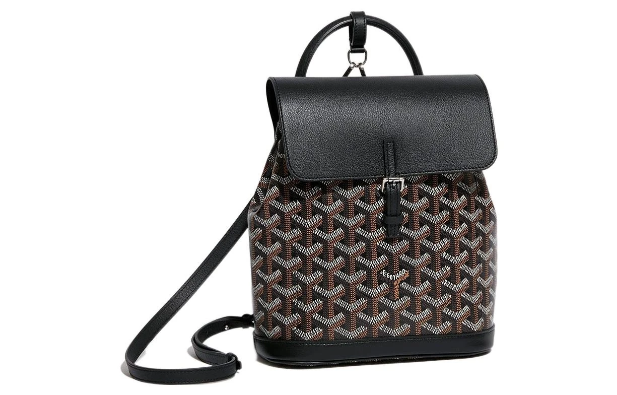 商品[国内直发] Goyard|戈雅 Alpin 老花满印可拆卸可调节肩带 帆布拼皮 书包背包双肩包 迷你 男女同款情侣款 黑色,价格¥29699,第3张图片详细描述