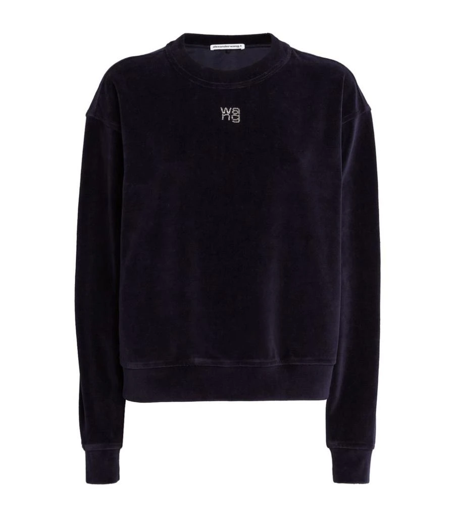 商品Alexander Wang|Velour Logo Sweatshirt,价格¥2466,第1张图片