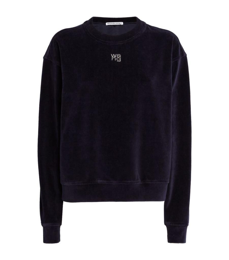商品Alexander Wang|Velour Logo Sweatshirt,价格¥2850,第1张图片